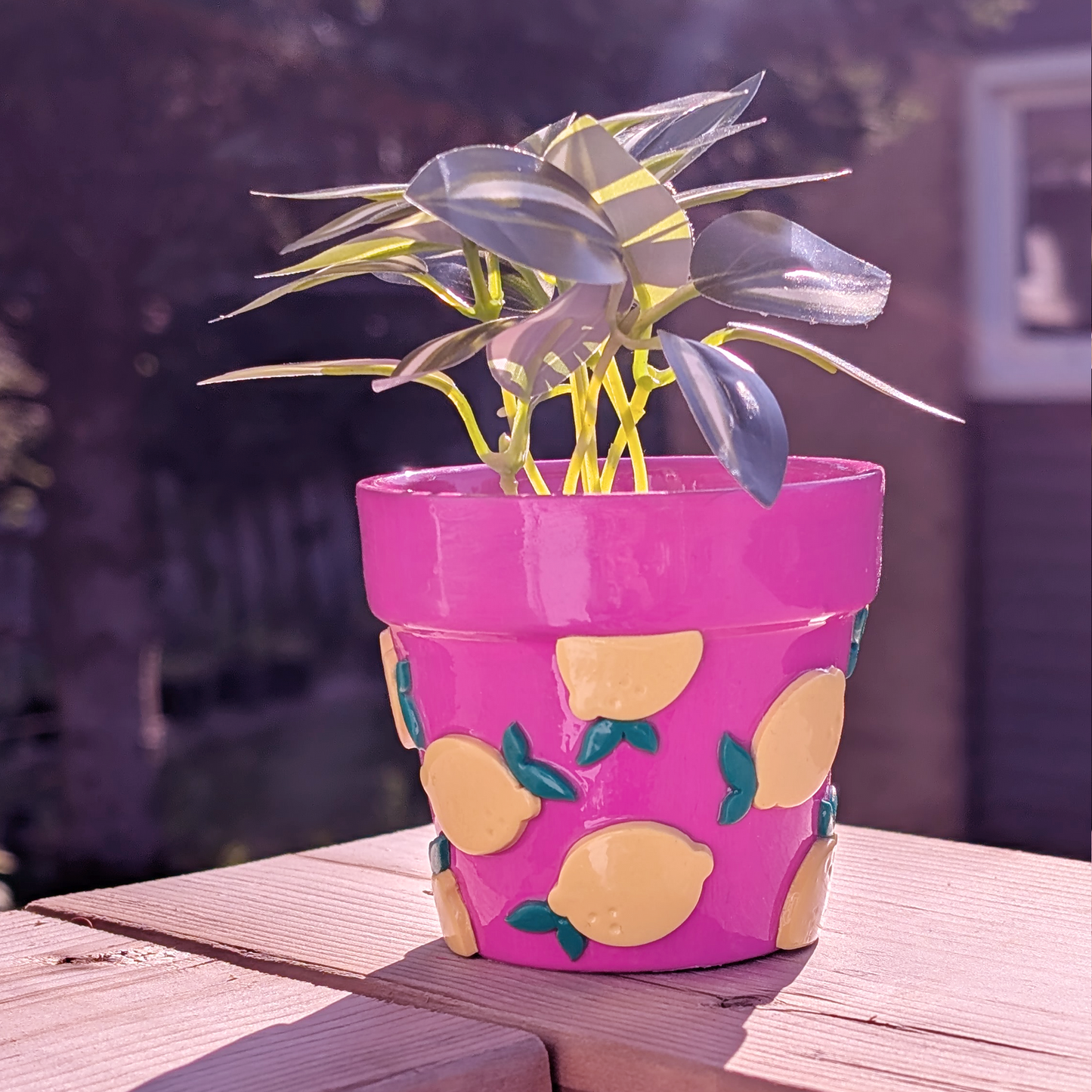 Zest Friends Forever - Tiny Pot