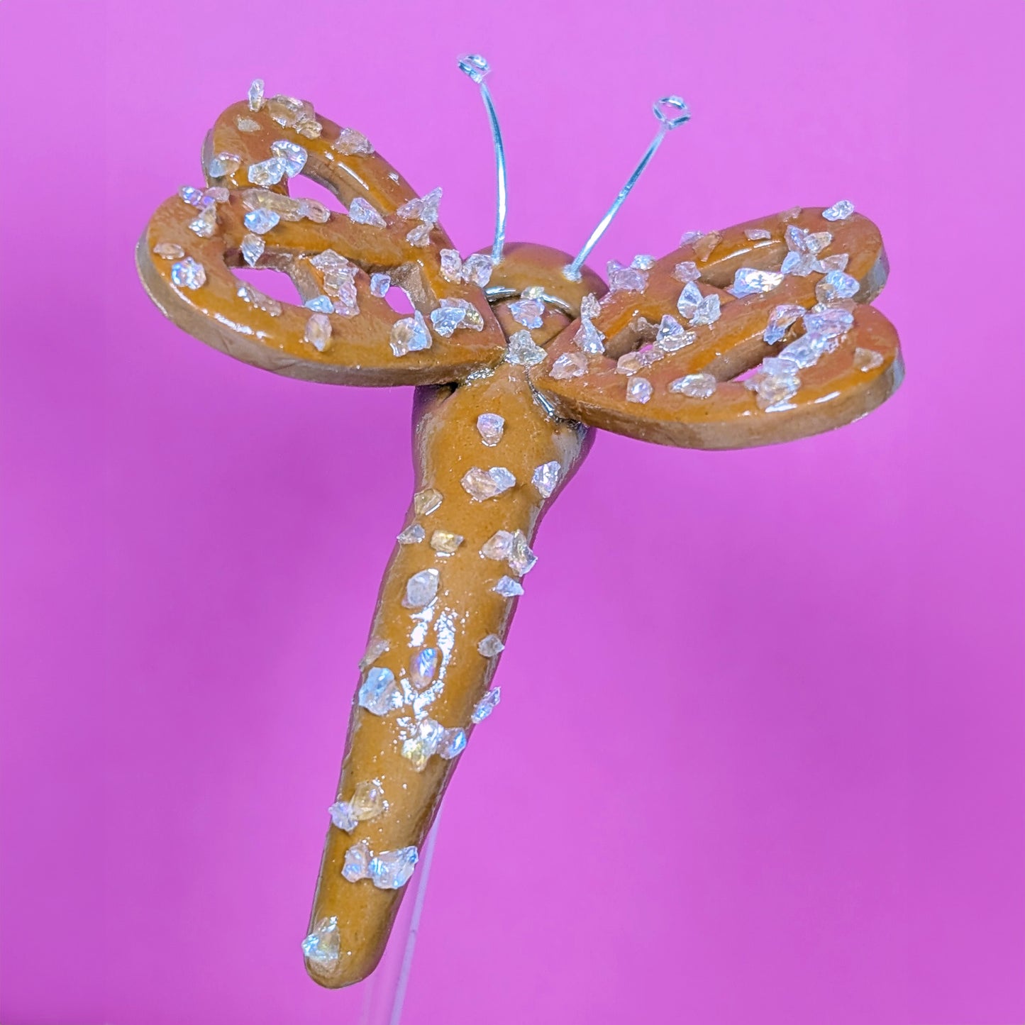 Pretzel Butterfly Plant Friend