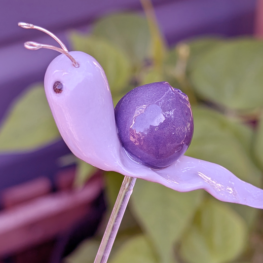 Fruit Snail Plant Pals